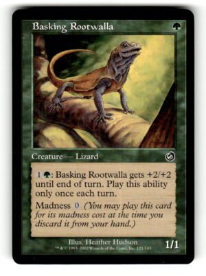 Basking Rootwalla