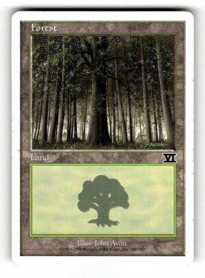 Forest (349)