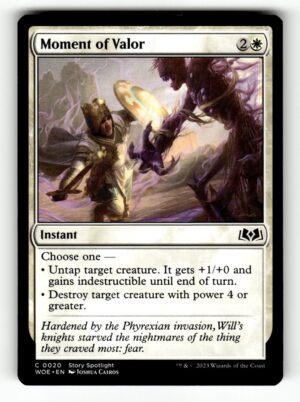 Moment of Valor [WOE - 20]-NM