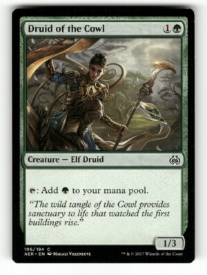 Druid of the Cowl [AER - 106]-NM