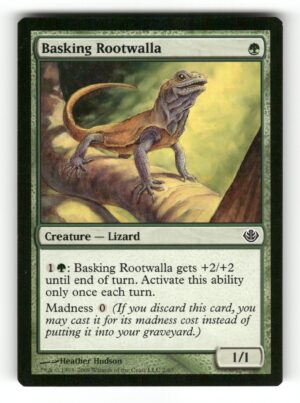 Basking Rootwalla [DDD - 2]-LP